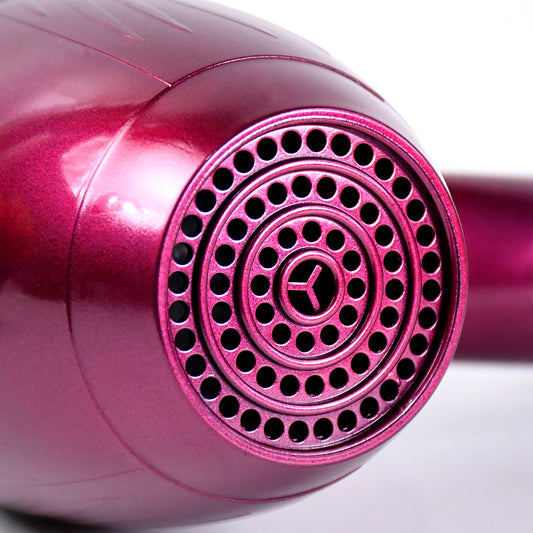 Professional High Power Multi Purpose Hair Dryer Salon (220v50-60hz 1 Pc)